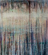Forest Lake 2