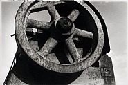Daido Moriyama - Biography of Light 3 (No. 2305) (Photographs) h: 18.7 x w: 27.9 cm / h: 7.4 x w: 11 in
