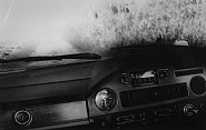 Daido Moriyama - Memory of a Dog: A Following Story: Landscape (No. 2192) (Photographs) h: 20.4 x w: 30.3 cm / h: 8 x w: 11.9 in