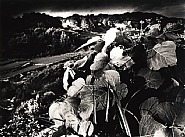Daido Moriyama - MT. DAIBOSATSU (No. 2001) (Photographs) h: 21.3 x w: 28.7 cm / h: 8.4 x w: 11.3 in