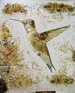 Vik Muniz - Humming Bird (Pictures of Scrap Metal) (Photographs) h: 225.3 x w: 180.3 cm / h: 88.7 x w: 71 in
