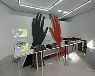 Lili Reynaud Dewar - Structures de pouvoir, rituels et sexualité chez les sténodactylos européennes (amanuensis), 2010