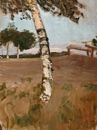 Birkenstamm mit Brücke nach Bergedorf