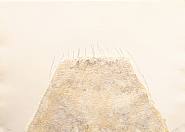 Antoni Tàpies - Gravier (Prints and Multiples) h: 65.5 x w: 35 in / h: 166.4 x w: 88.9 cm