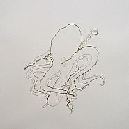 Vik Muniz - Octopus (Photographs) h: 20 x w: 16 in / h: 50.8 x w: 40.6 cm