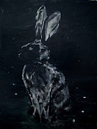 Black Rabbit