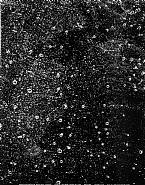 Vik Muniz - Viewing from Krakatoa Mt. Rakata Pulau (Photographs) h: 232.5 x w: 180.5 cm / h: 91.5 x w: 71.1 in