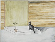 Cat on Black Step