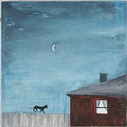 Cat on Fence
