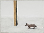 Rodent Under Table