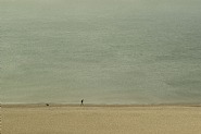 Overlook, 14-6273, Brighton, April 2010