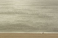 Overlook, 14-8616, Brighton, May 2010