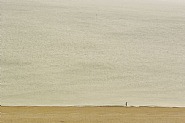 Overlook, 14-6950, Brighton, May 2011
