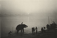 Dawn, The Elephant Festival, Bihar