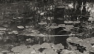 Waterscapes #13