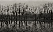 Waterscapes #19
