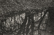 Waterscapes #34