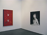 Exhibition view (Philip Taaffe/Nobuyoshi Araki)