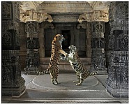 The Palaiyakkarars, Hazarama Temple, Hampi