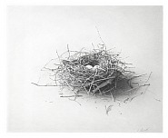 Nest #5