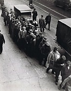 Bread Line, New York City