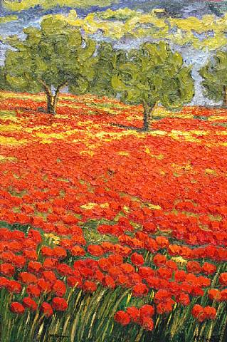  Maria Amparo, Poppy Field