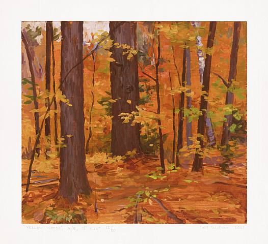  Paul Matthews, Yellow Woods