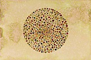 Circles