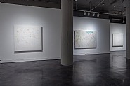 Installation View, 2013, Works by Nancy Graves