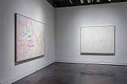 Installation View, 2013, Works by Nancy Graves