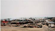 Andreas Gursky - Gran Canaria (Photographs) h: 134 x w: 254 cm / h: 52.8 x w: 100 in