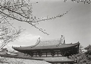 Byodo-In, Kyoto, Japan
