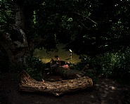 Arcadia