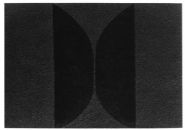 Mixoblack 10