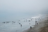 Malibu Road