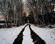 Railroad Landscape #33, former Newburgh, Dutchess & Connecticut right-of-way right-of-way, (abandoned 1938), MP 16.5, view south, Winter, Pine Plains, New York