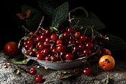 Red Cherries and Plums, after .GG.