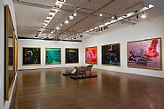 Dale Frank: Nobody's Sweetie-Installation view