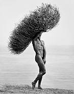 Herb Ritts - Nude with Tumbleweed, Paradise Cove (Photographs) h: 18 x w: 22 in / h: 45.7 x w: 55.9 cm