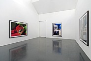 Ausstellungsansicht: Roland Fischer: New architectures, 2011