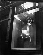 Berenice Abbott - Designer's Window, Bleecker Street, 1947