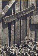 Ansel Adams - Boards and Thistles, San Francisco, CA