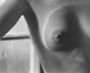 Edward Weston - 6N, Nude, 1922 (Photographs) h: 8 x w: 10 in / h: 20.3 x w: 25.4 cm
