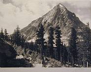 East Vidette