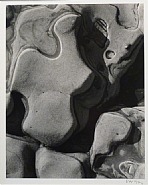 Edward Weston - Eroded Rock, Point Lobos (Sandstone Erosion) (Photographs) h: 9.5 x w: 7.5 in / h: 24.1 x w: 19 cm
