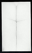 Harry Callahan - Eleanor, Chicago (The Cross) (Photographs)