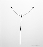 Harry Callahan - Weed, Against Sky, Detroit (Photographs)