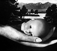 Ruth Bernhard - Creation