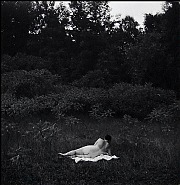 Harry Callahan - Eleanor, Port Huron (in the grass) (Photographs) h: 8 x w: 10 in / h: 20.3 x w: 25.4 cm