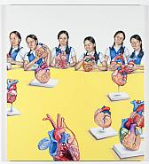 Girls and Hearts